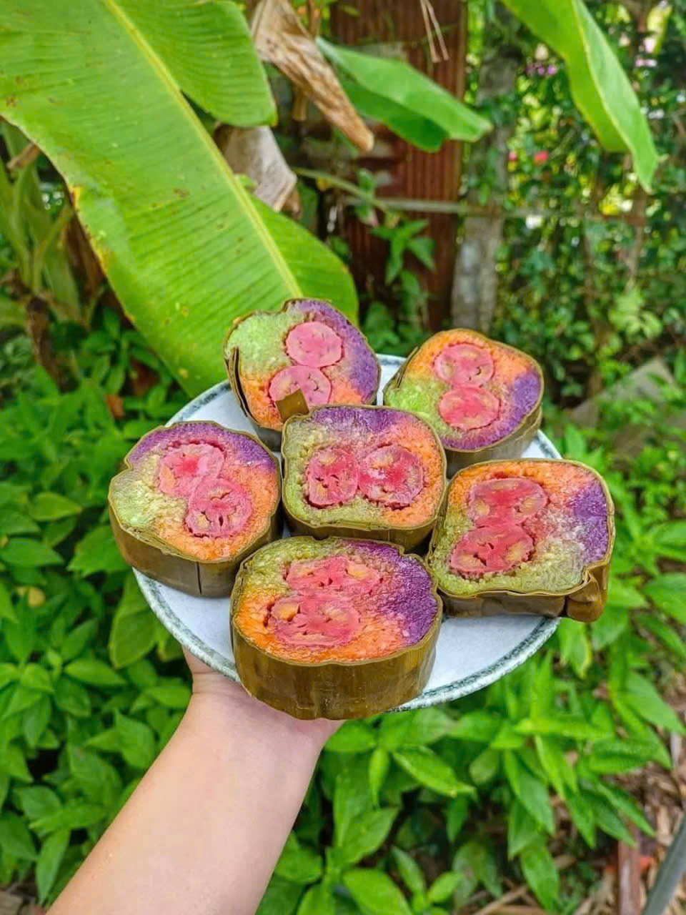 BÁNH TÉT CHUỐI 3 MÀU